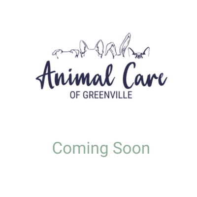Veterinarian In Greenville, NC 27858 | Animal Care Of Greenville