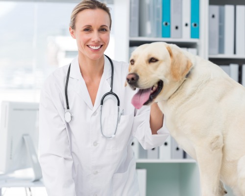 Confident female vet with dog