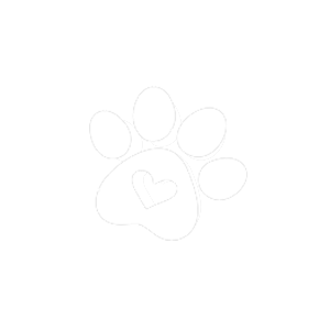 Book Icon
