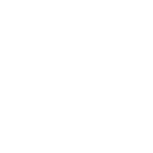 Heart icon