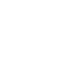 family life insurance icon